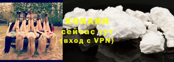 гидра Бородино