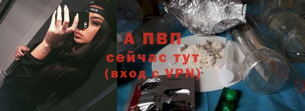 гашик Михайловск