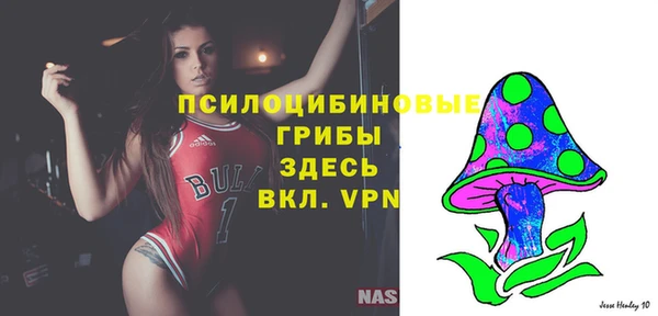 гашик Михайловск