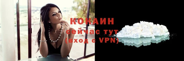 гашик Михайловск