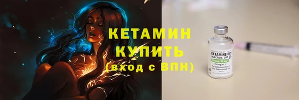 гидра Бородино