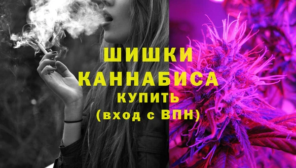 хмурый Бронницы