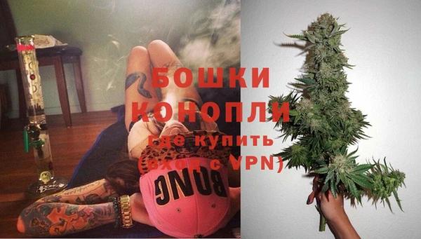 гидра Бородино