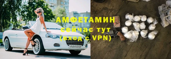 гидра Бородино